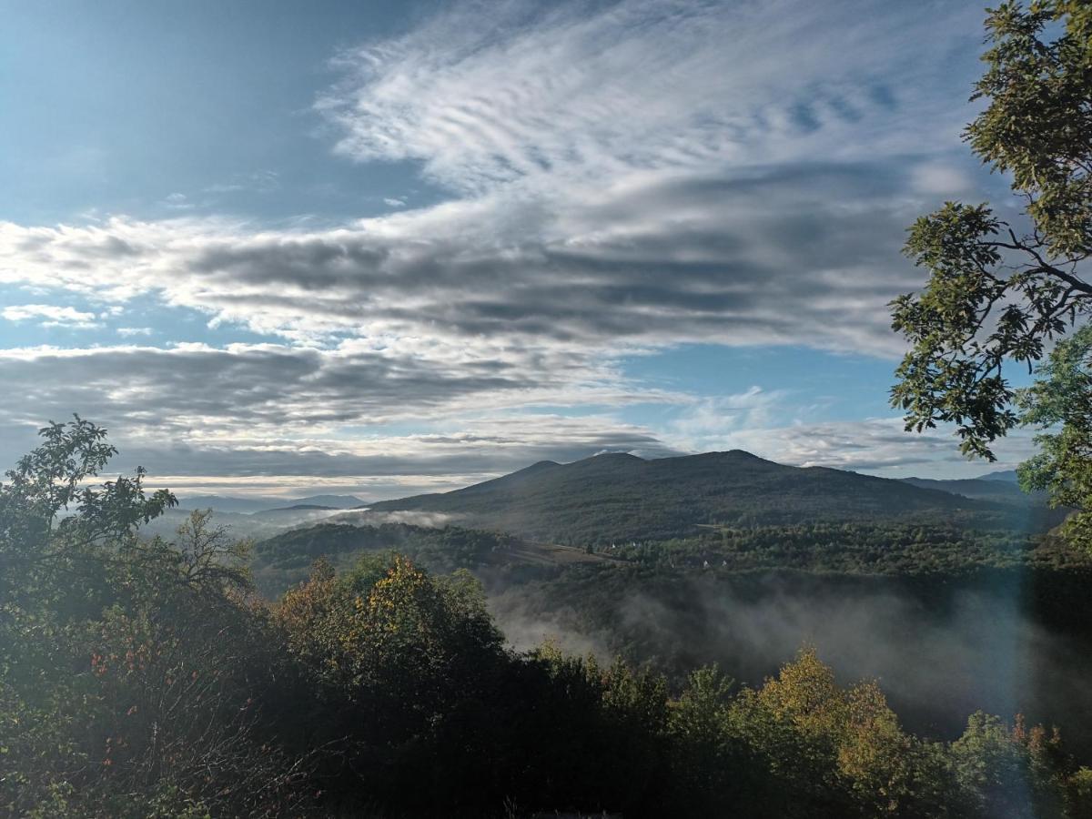 Guesthouse Loncar Plitvička Jezera Esterno foto