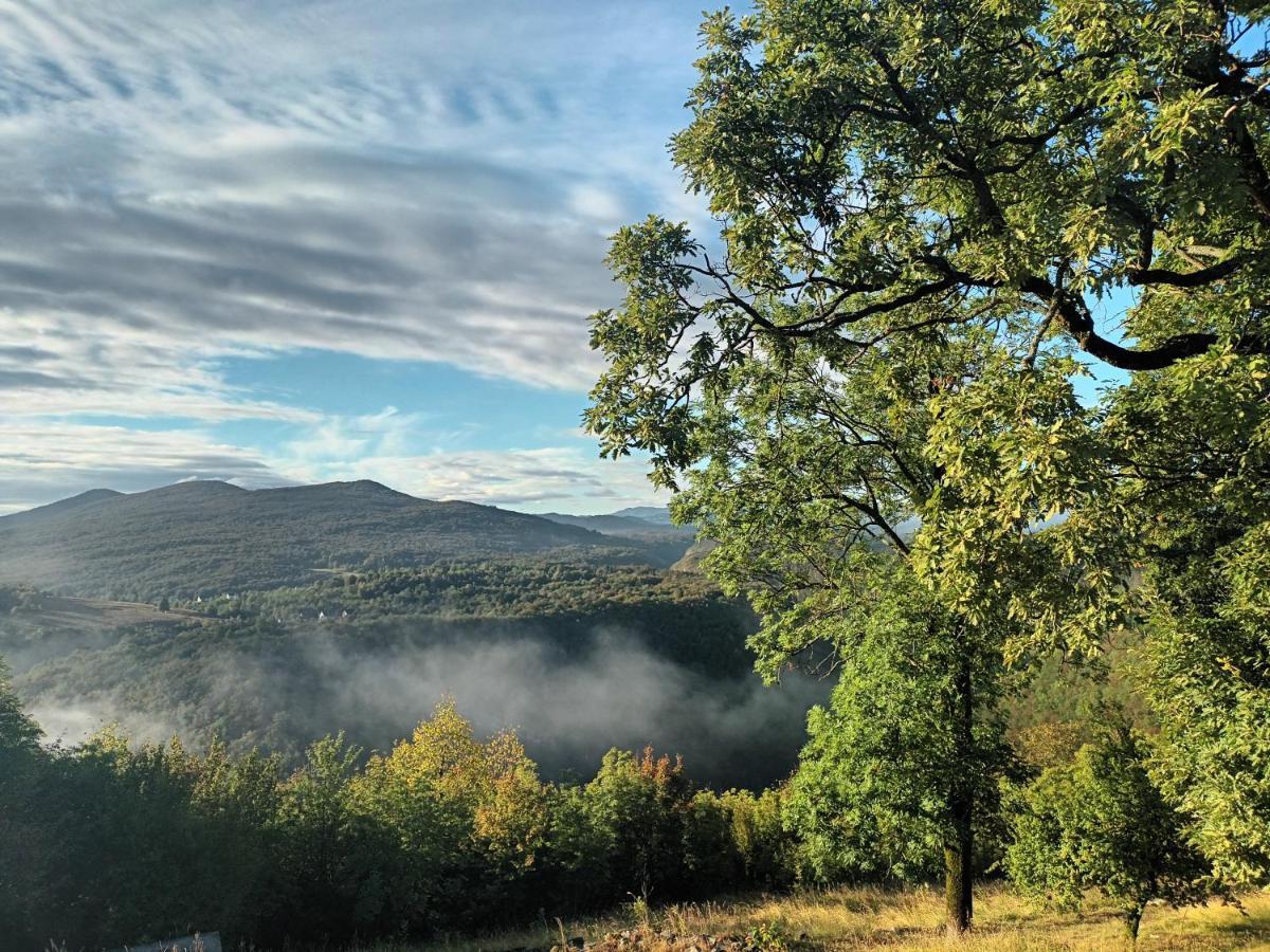 Guesthouse Loncar Plitvička Jezera Esterno foto