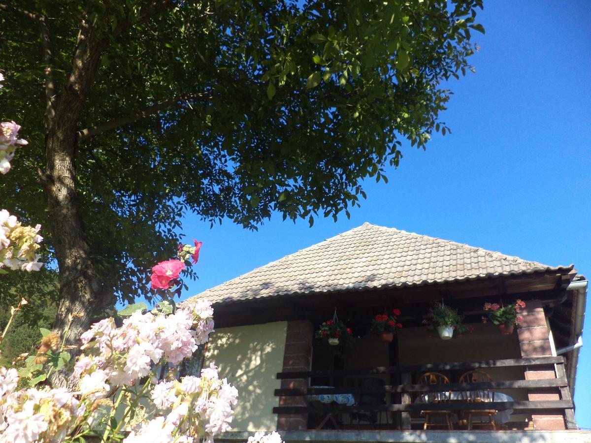 Guesthouse Loncar Plitvička Jezera Esterno foto
