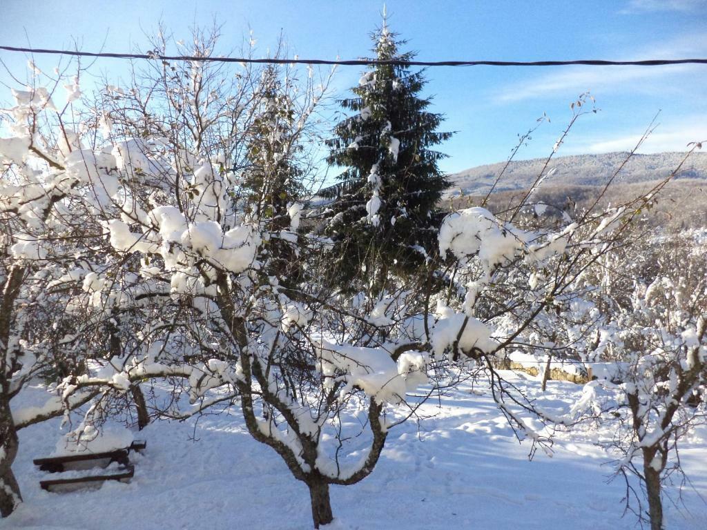 Guesthouse Loncar Plitvička Jezera Esterno foto